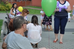 img,gcsi,1DEEC779A572B13CF21CE957E95996A3340824E2,mpid,17